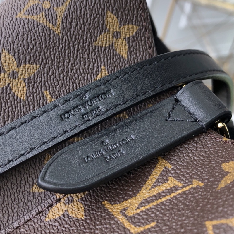 LV Bucket Bags